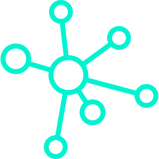 Network icon